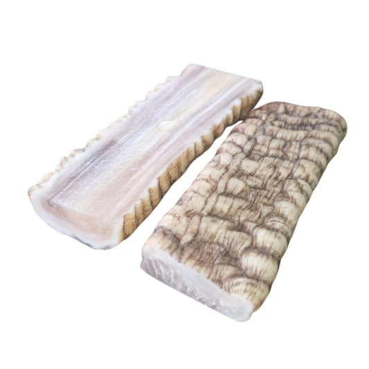 Merino Ram Horn Set Small 10x40x120mm