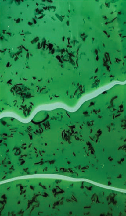 Kirinite Pepper Jade 225x38x6