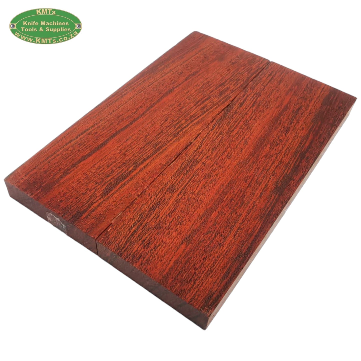 Kameeldoring Scale 130x40x6mm Pair