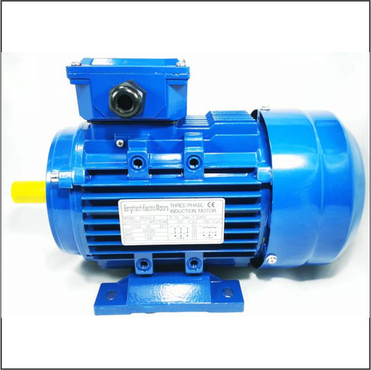 Berghtech 0.75Kw 220/380V 3Ph 4P 1480rpm