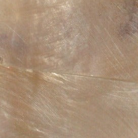 Horn Blond Set 4x38x127mm