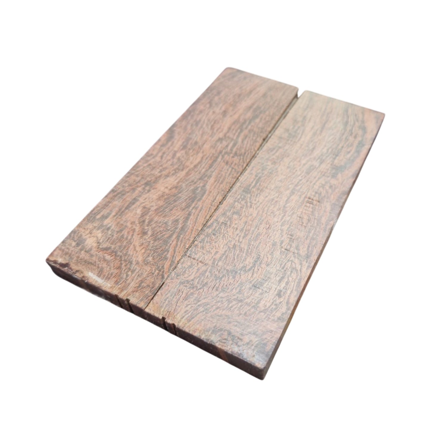 Camelthorn Scales 120x50x8mm Pair