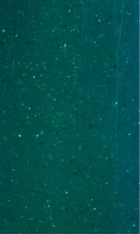 Corian Huters Green 12x43x240mm