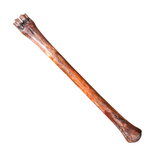 Impala Bone Dyed 13x13x230mm