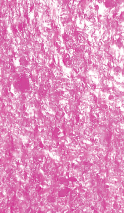 Kirinite Pink Ice 220x40x6mm