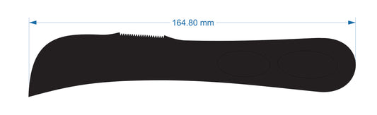 Biltong02